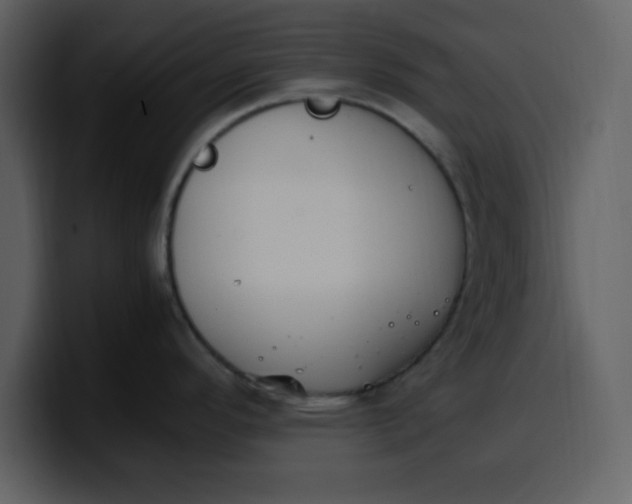 X0000100341296200806191016