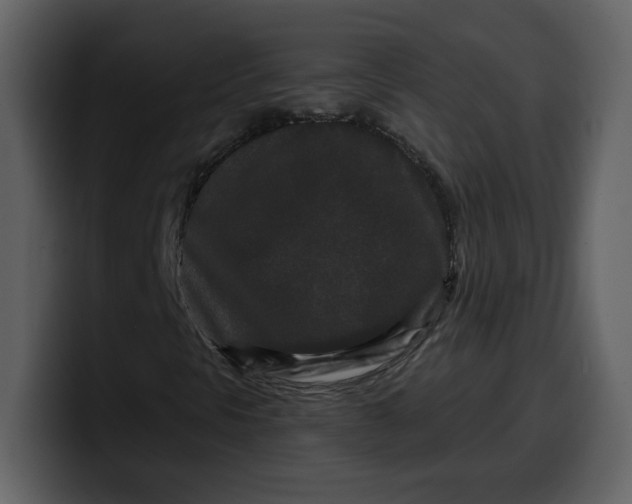 X0000100341297200806191016