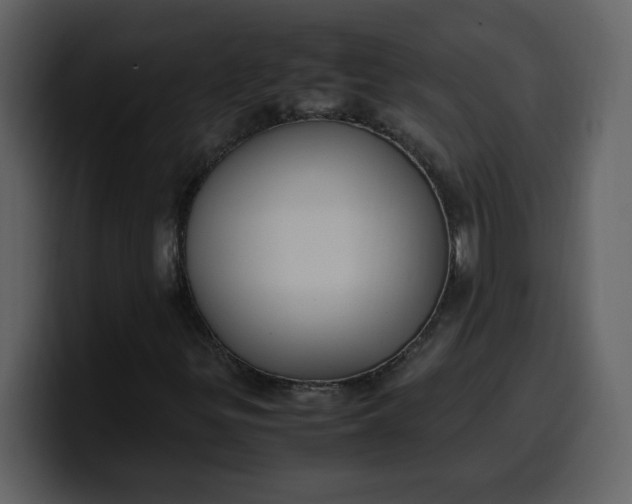 X0000100341299200806191016