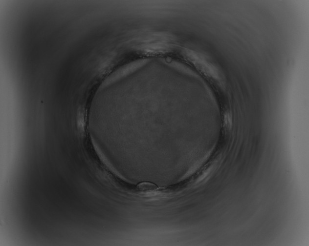 X0000100341300200806191016