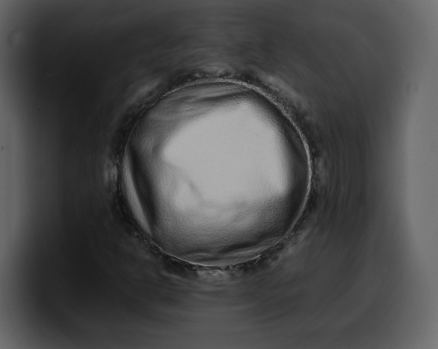 X0000100341302200806191016