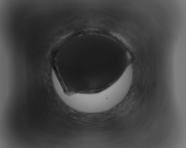 X0000100341303200806191016