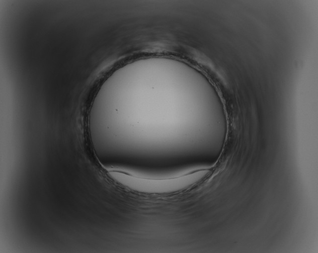 X0000100341304200806191016