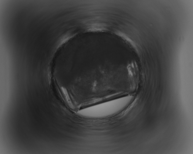 X0000100341306200806191016