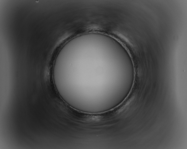 X0000100341309200806191016