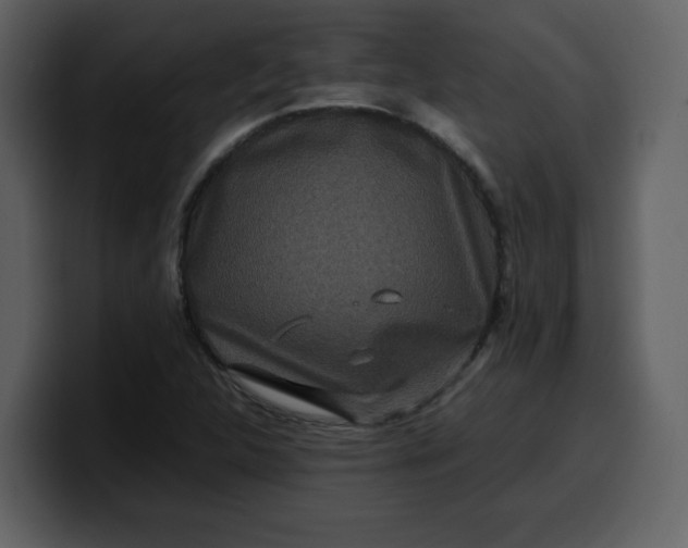 X0000100341312200806191016