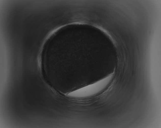 X0000100341319200806191016