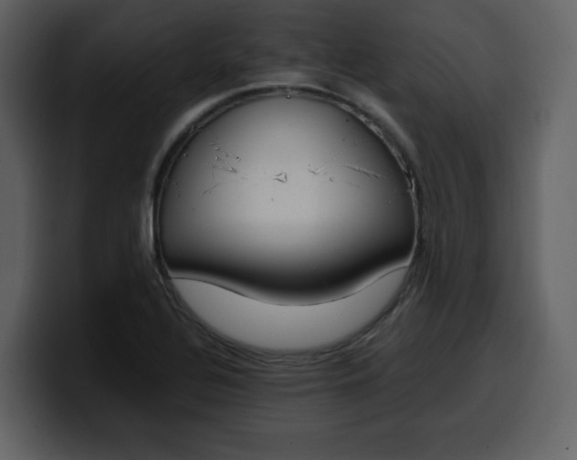 X0000100341320200806191016