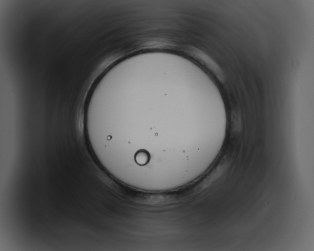 X0000100341322200806191016