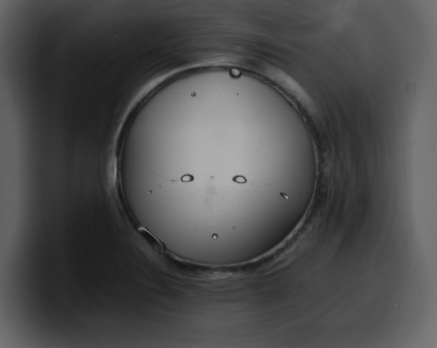 X0000100341324200806191016