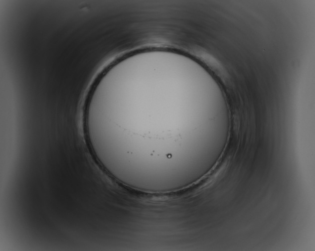 X0000100341326200806191016