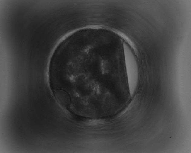 X0000100341327200806191016