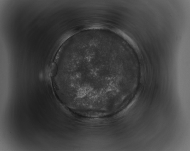 X0000100341329200806191016