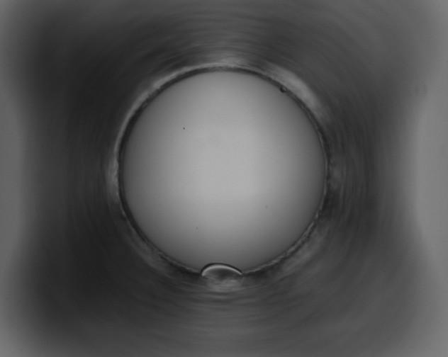 X0000100341332200806191016