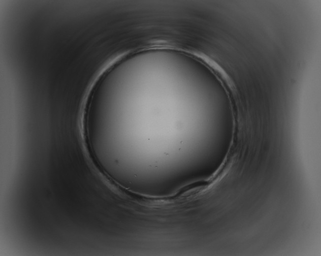 X0000100341333200806191016