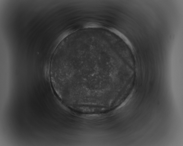 X0000100341337200806191016