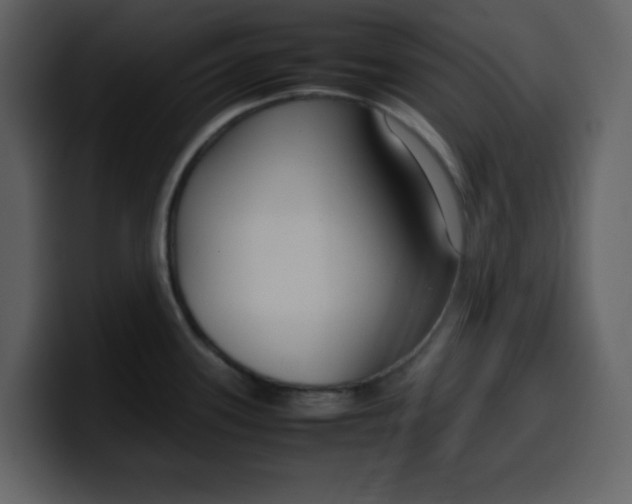 X0000100341339200806191016