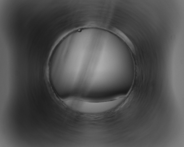 X0000100341340200806191016