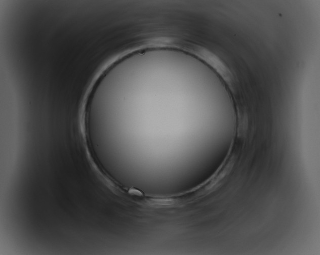 X0000100341342200806191016