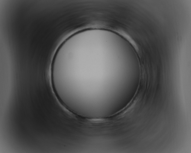 X0000100341343200806191016