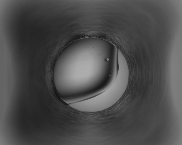 X0000100341345200806191016