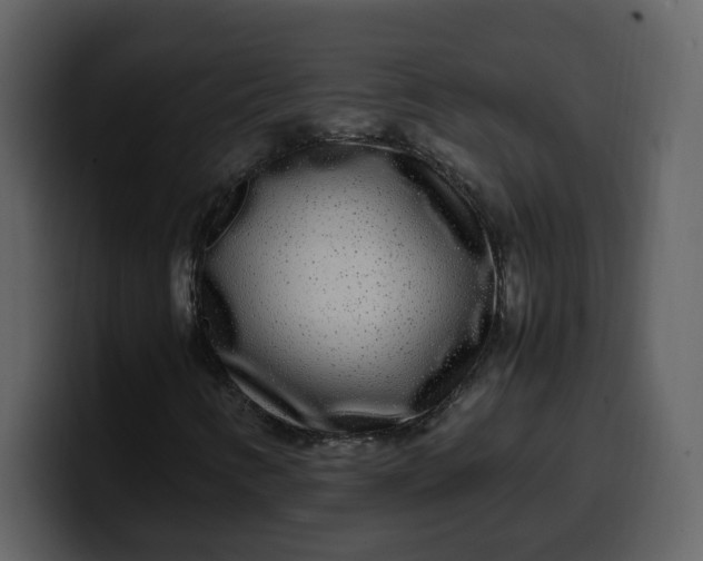 X0000100341346200806191016