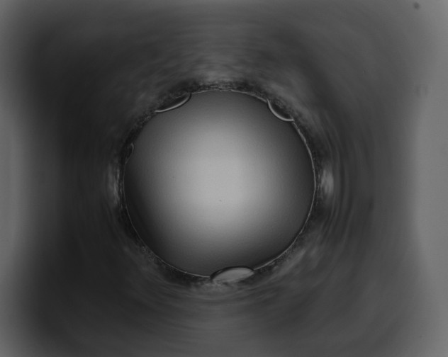 X0000100341348200806191016