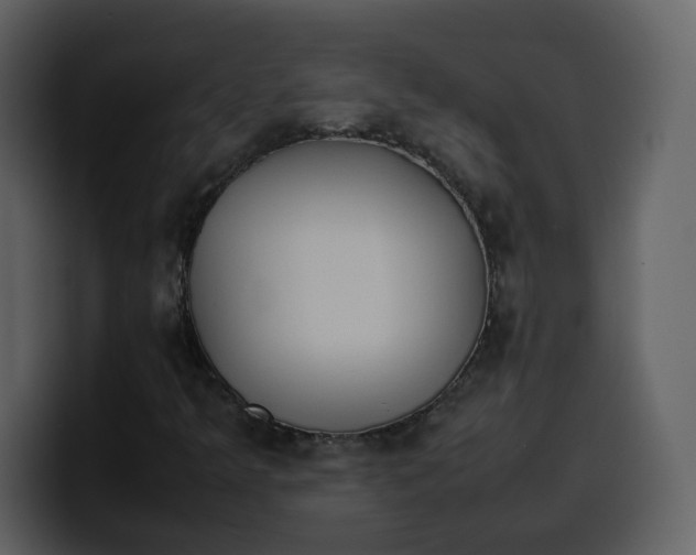 X0000100341349200806191016