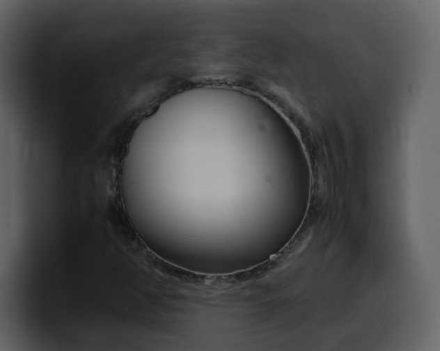 X0000100341350200806191016