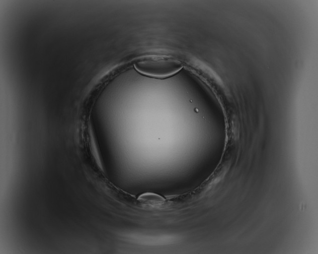 X0000100341352200806191016