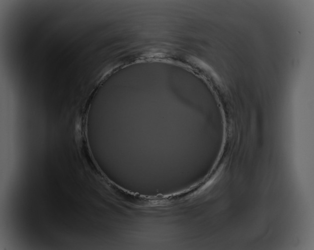 X0000100341353200806191015