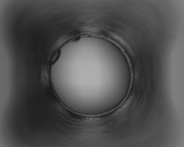 X0000100341354200806191015