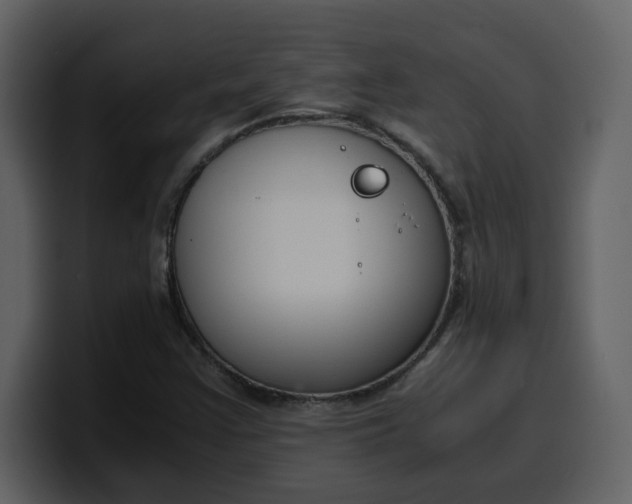 X0000100341355200806191015