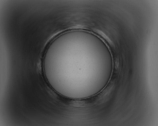 X0000100341356200806191015