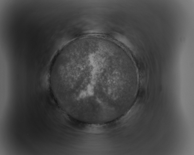 X0000100341357200806191015