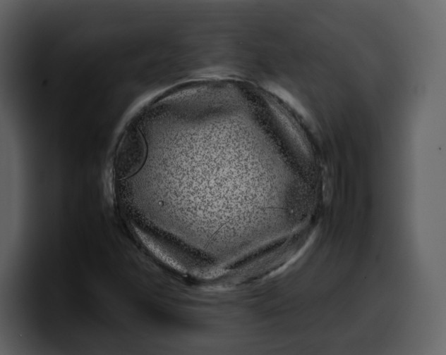 X0000100341358200806191015