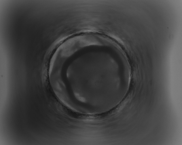 X0000100341359200806191015