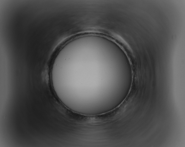 X0000100341360200806191015