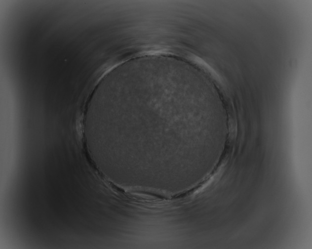 X0000100341361200806191015