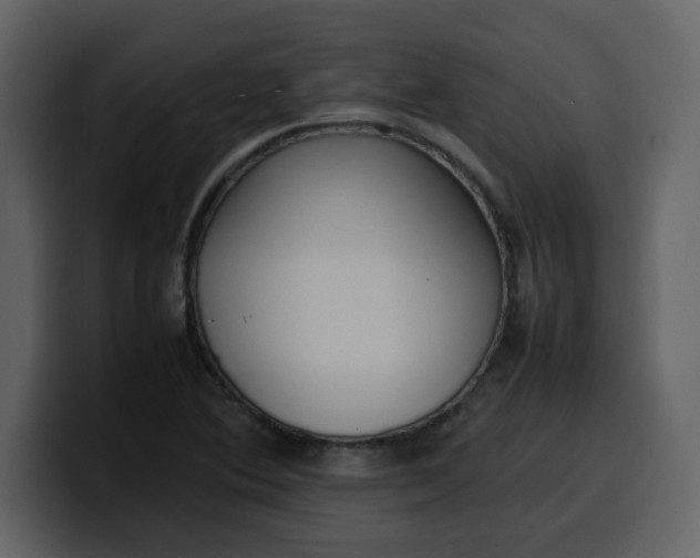 X0000100341364200806191015