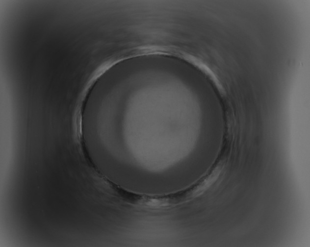 X0000100341365200806191015