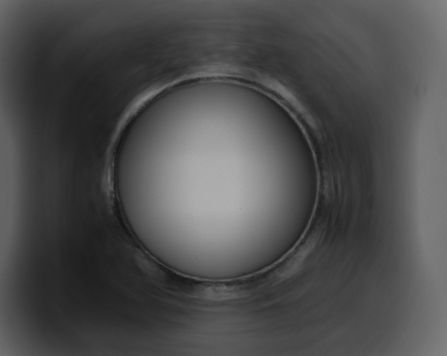 X0000100341366200806191015