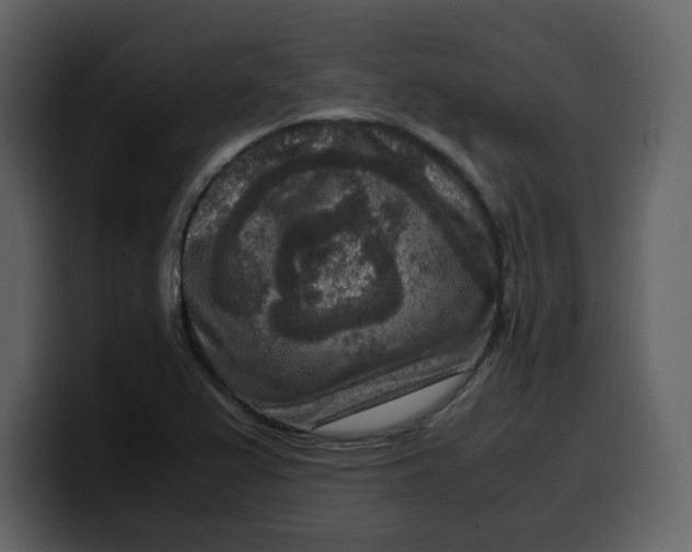 X0000100341367200806191015