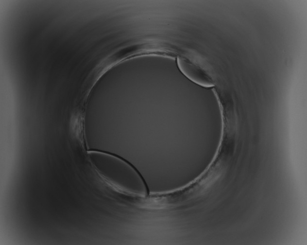 X0000100341369200806191015