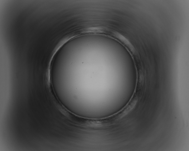 X0000100341370200806191015