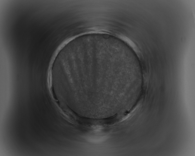 X0000100341371200806191015