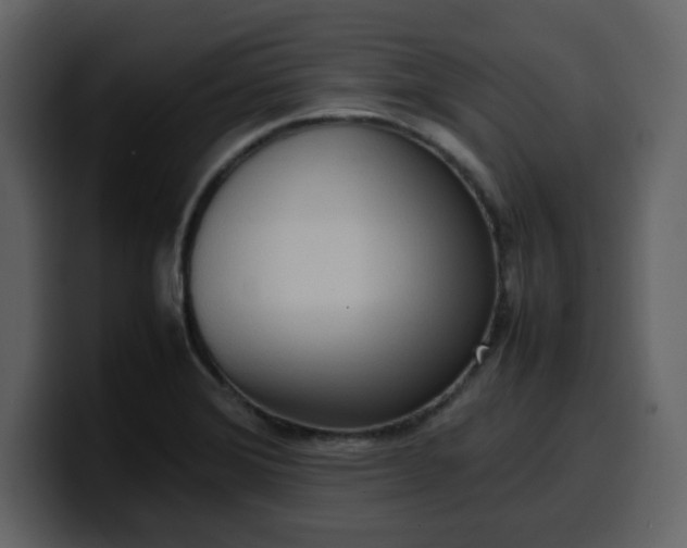 X0000100341372200806191015