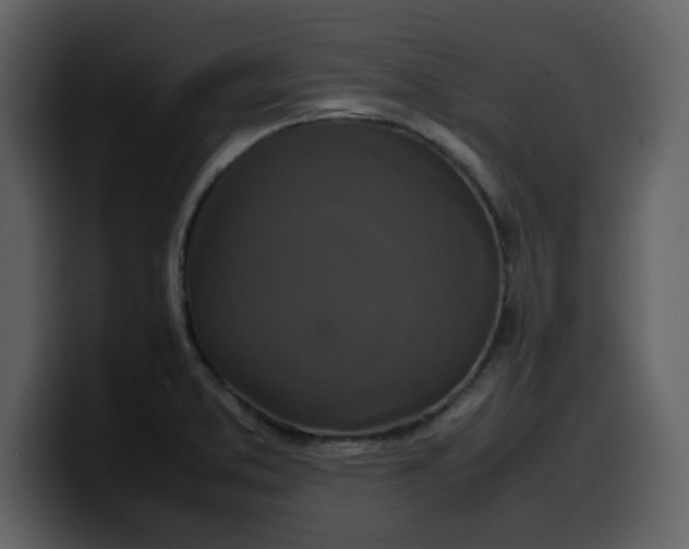 X0000100341373200806191015