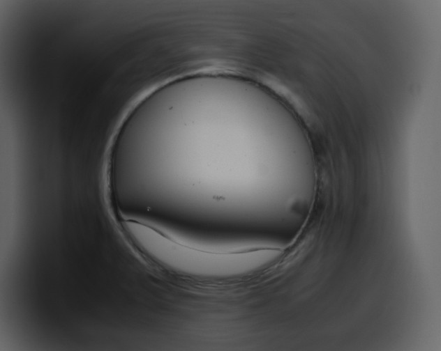 X0000100341375200806191015