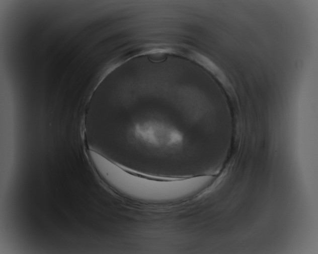 X0000100341377200806191015